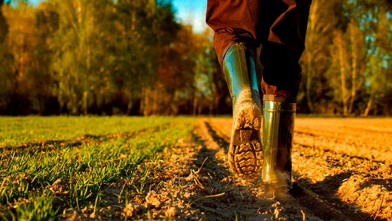 Renta Agraria 2026 SEPE: requisitos, cuantías y cómo solicitarla