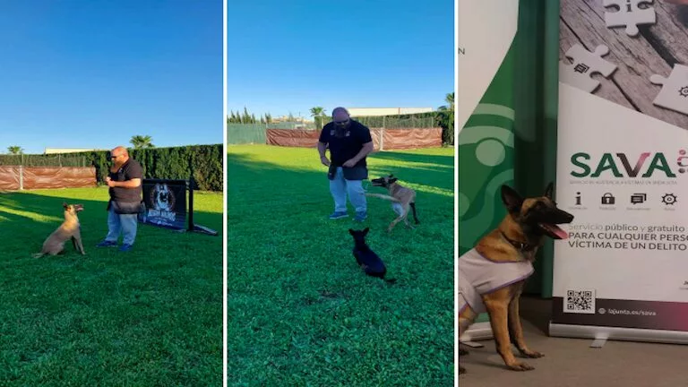 Proyecto Auva de acompañamiento canino en Huelva para victimas vulnerables