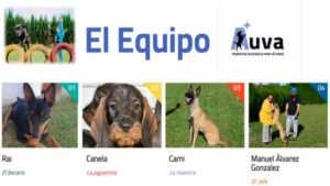 Proyecto Auva pionero en los juzgados de Huelva