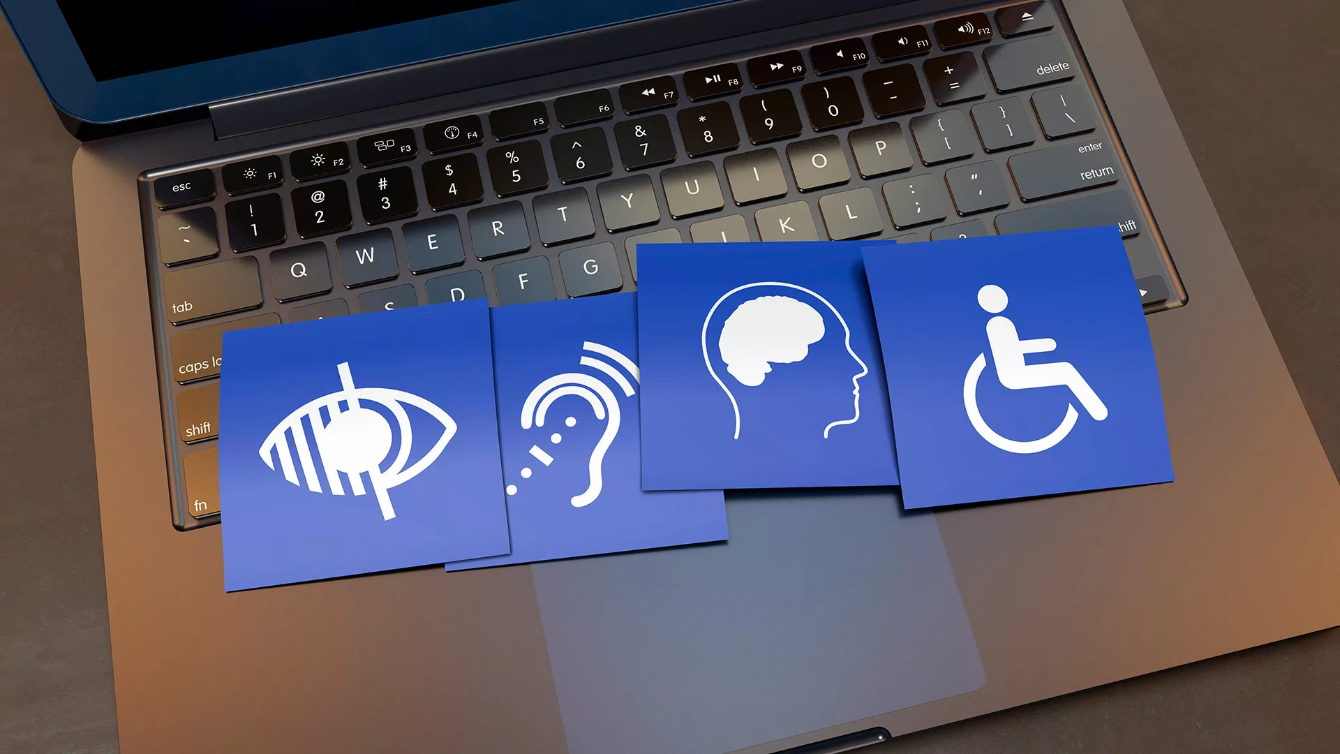 Tipos de discapacidad: física, sensorial, intelectual y mental y las ayudas disponibles