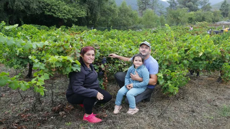 Laura es viticultora y se marchó de Madrid para emprender en su pueblo de Galicia